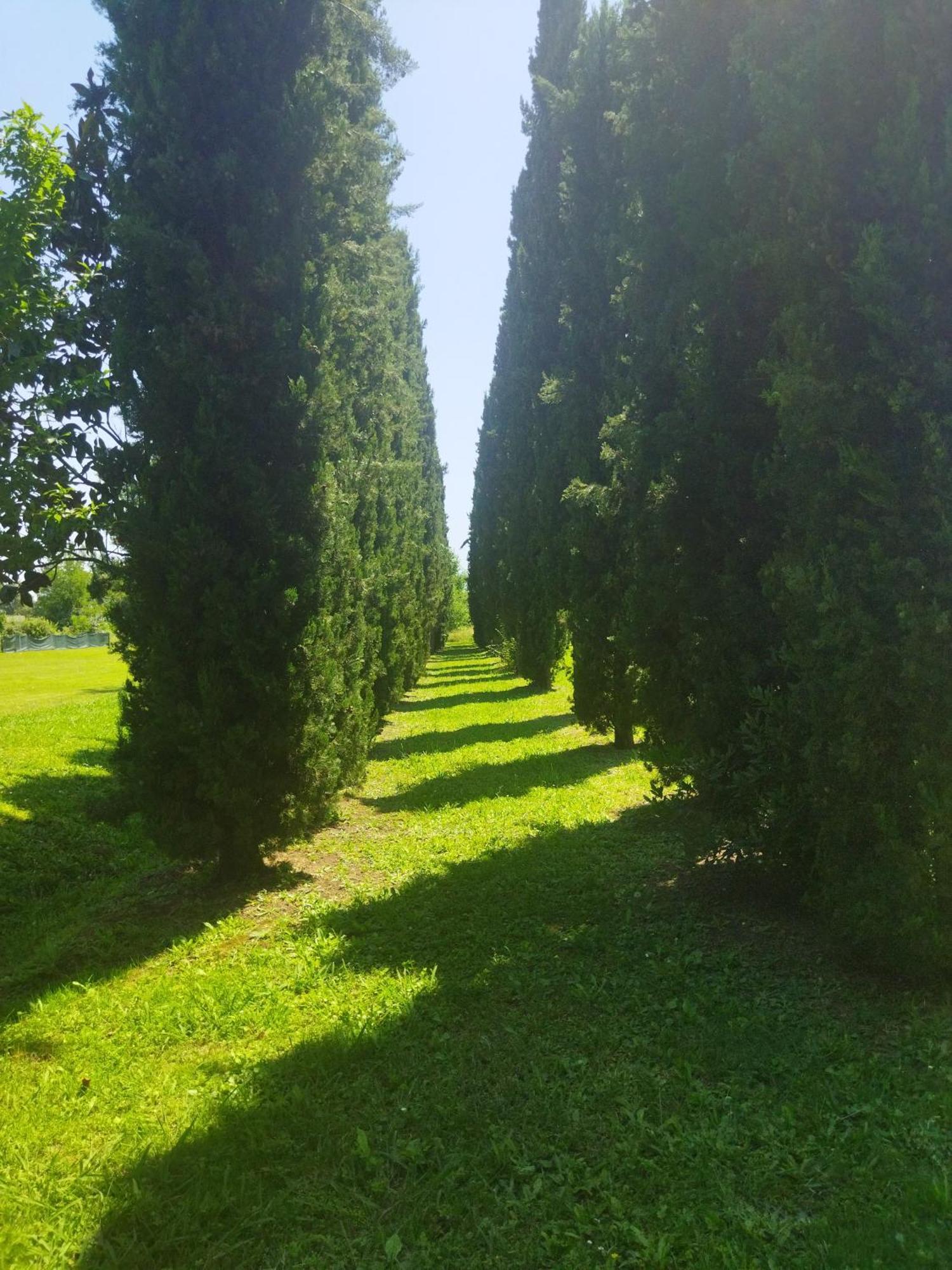 Villa Fontana Capannori Eksteriør billede